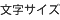 文字サイズ